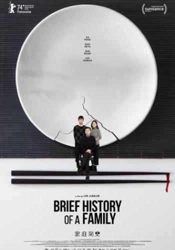 Affiche du film Brief History of a Family