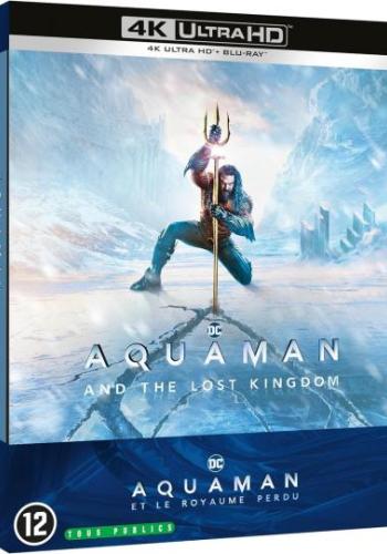 Affiche du film Aquaman et le royaume perdu