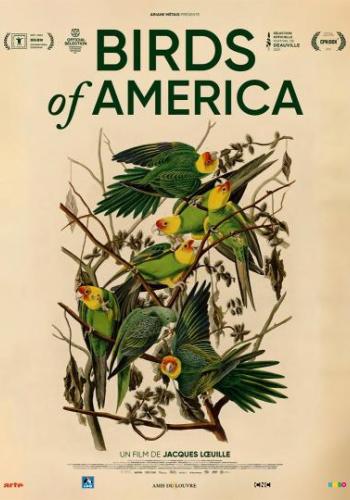 Affiche du film Birds of America