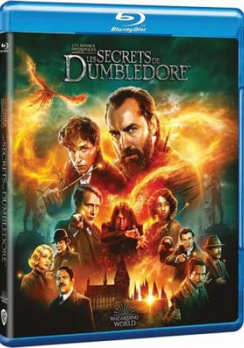 Affiche du film Les Animaux Fantastiques - les Secrets de Dumbledore 