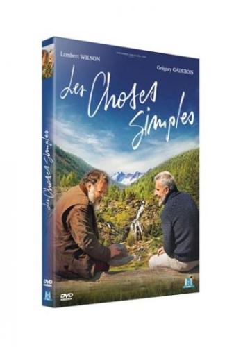 Affiche du film Les Choses simples