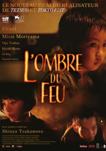Affiche du film L’ombre du feu