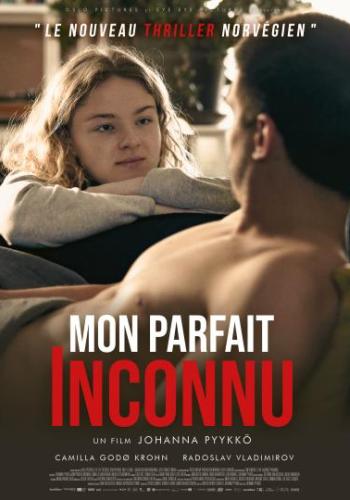 Affiche du film Mon parfait inconnu