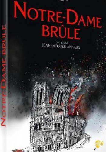Affiche du film Notre Dame brûle